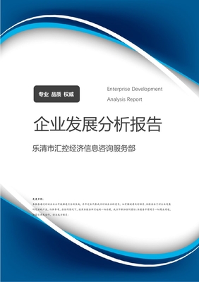 樂清市匯控經濟信息咨詢服務部 企業定位、業務發展與市場前景分析報告
